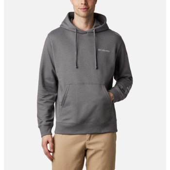 Columbia Viewmont II Sleeve Graphic, Sudaderas Con Capucha Grises Para Hombre | 562394-PTO